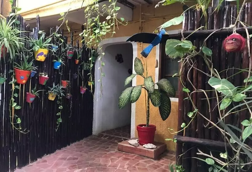 Fotos del hotel Maison Tulum:  9