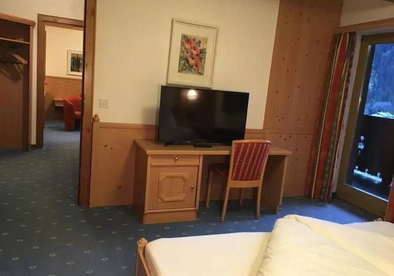 Fotos del hotel Karl Schranz:  14