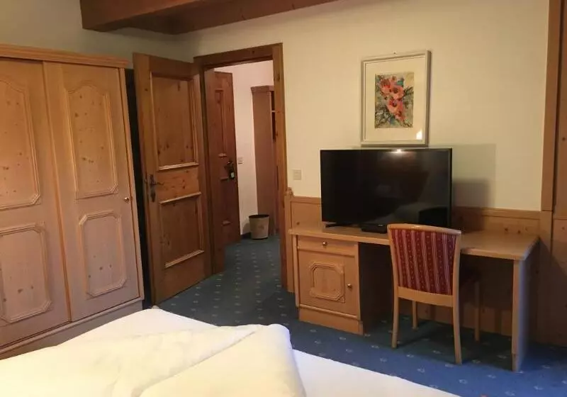 Fotos del hotel Karl Schranz:  16