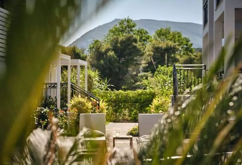 Fotos del hotel Cactus:  18