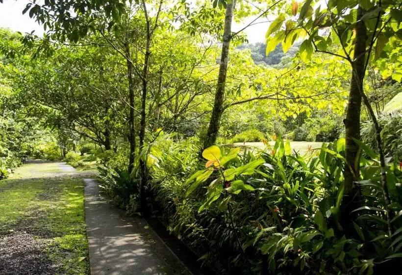 Fotos del hotel Lands In Love Hotel And Resort:  13