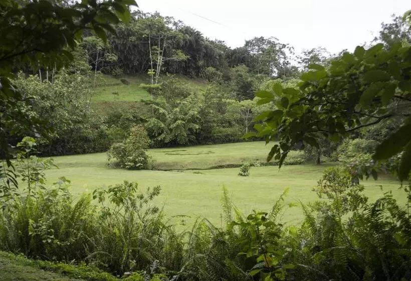 Fotos del hotel Lands In Love Hotel And Resort:  14