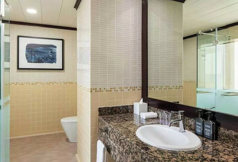 Fotos del hotel Delta Hotels By Marriott Jumeirah Beach, Dubai:  43