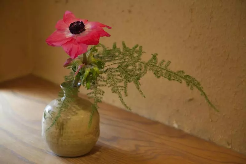 Fotos del hotel Chikuba Shinyotei:  5