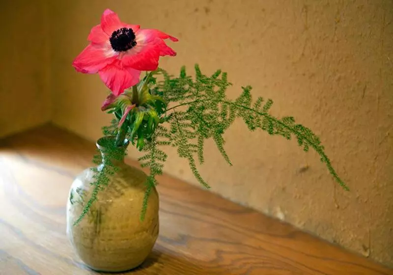 Fotos del hotel Chikuba Shinyotei:  12