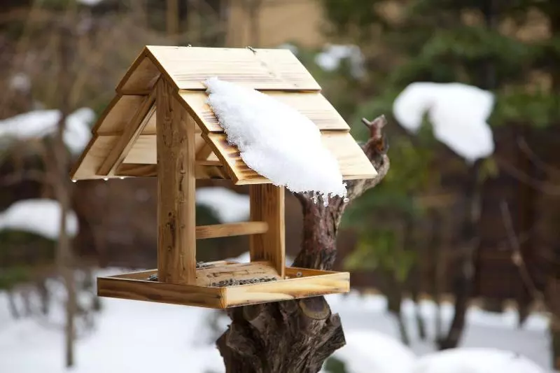 Fotos del hotel Chikuba Shinyotei:  19