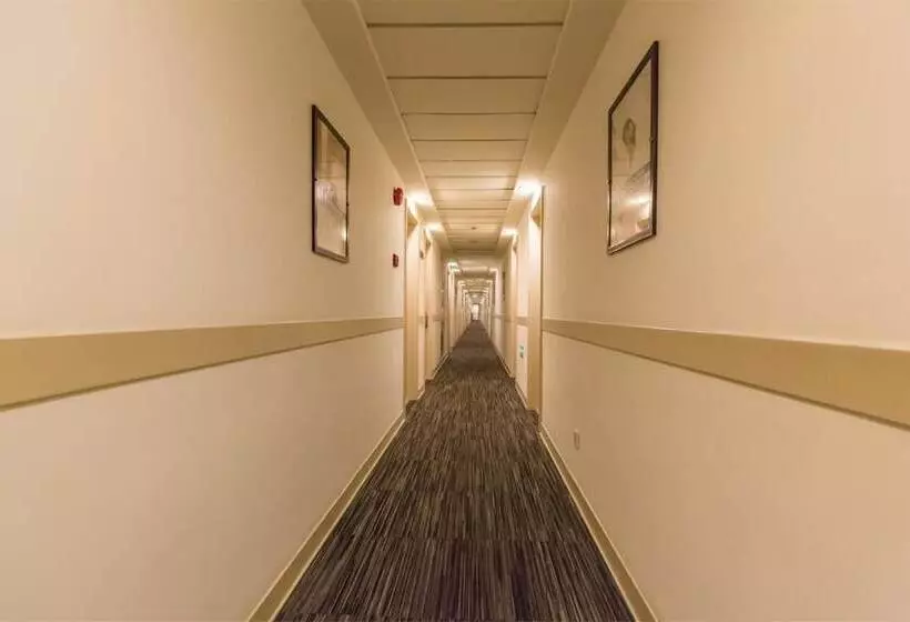 Fotos del hotel Magnotel Chengdu Taikoo Li Dong Feng Bridge:  16