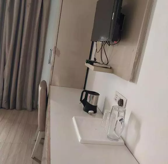 Fotos del hotel Shanti Palace:  25