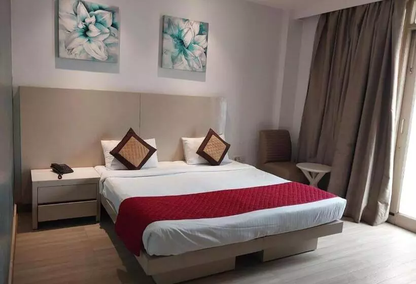 Fotos del hotel Shanti Palace:  21