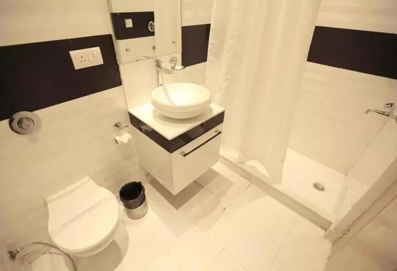 Fotos del hotel Shanti Palace:  8