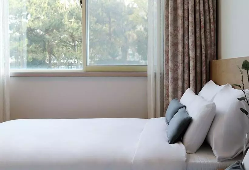 Fotos del hotel Jeju Hana:  15