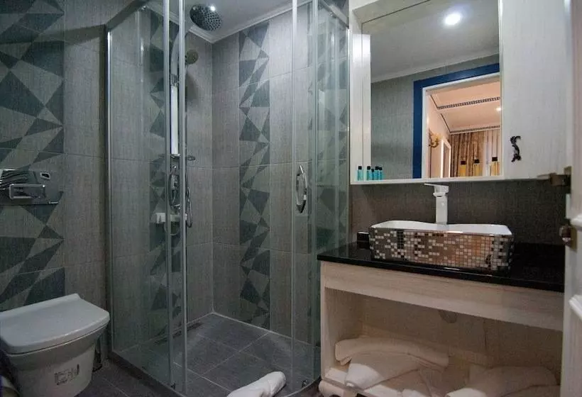 Fotos del hotel Center Hill Suites:  4