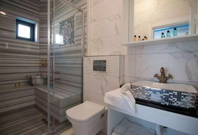 Fotos del hotel Center Hill Suites:  13