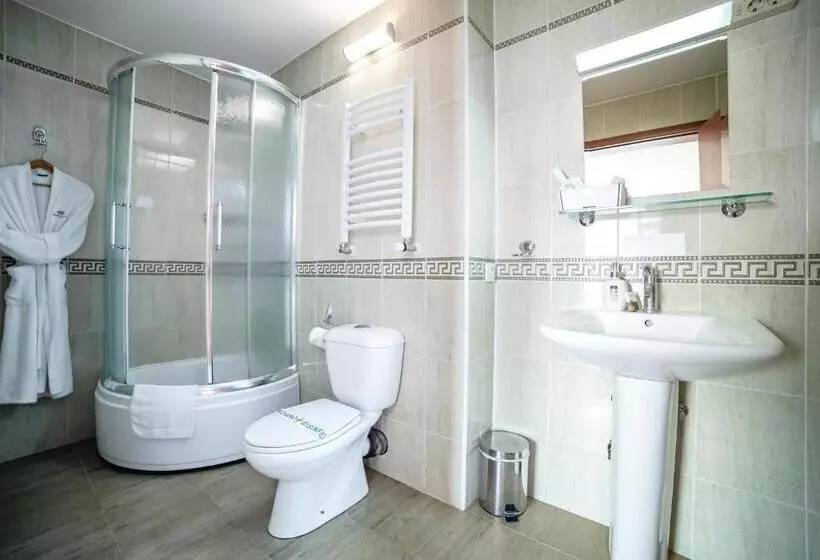 Fotos del hotel Novi Sad:  8