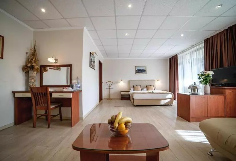 Fotos del hotel Novi Sad:  10