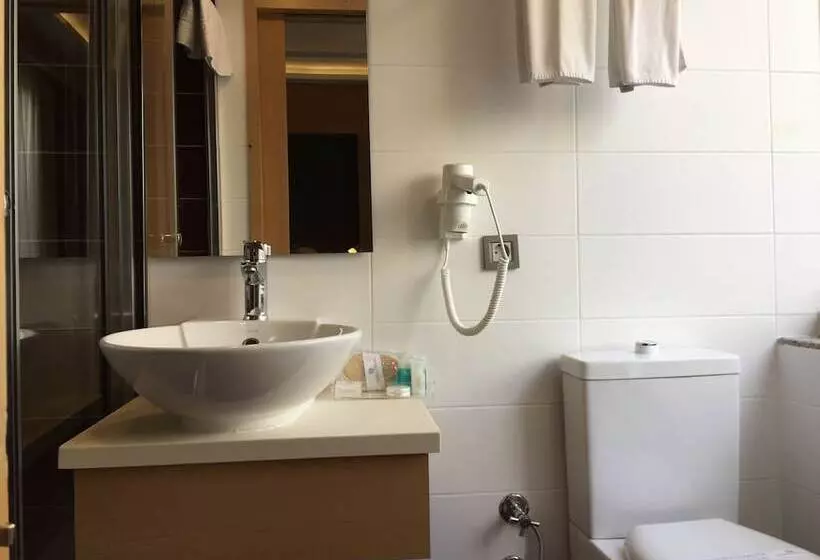 Fotos del hotel Emerald:  22