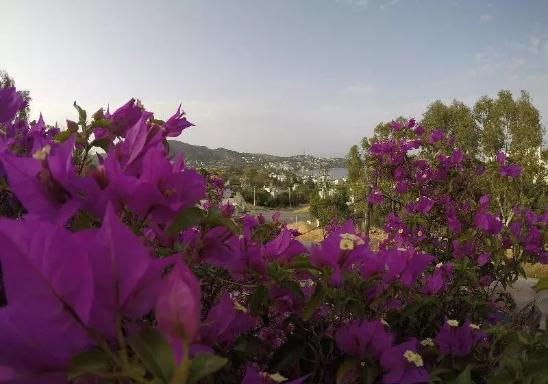 Fotos del hotel Panorama Hotel Bodrum:  4