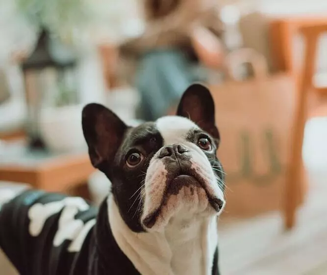 Fotos del hotel 84 Dc:  11