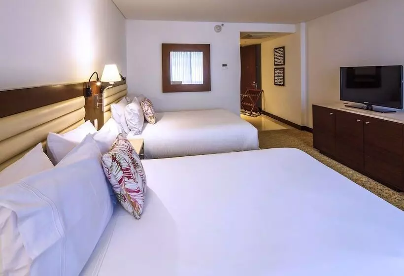 Fotos del hotel Movich Chico 97:  14