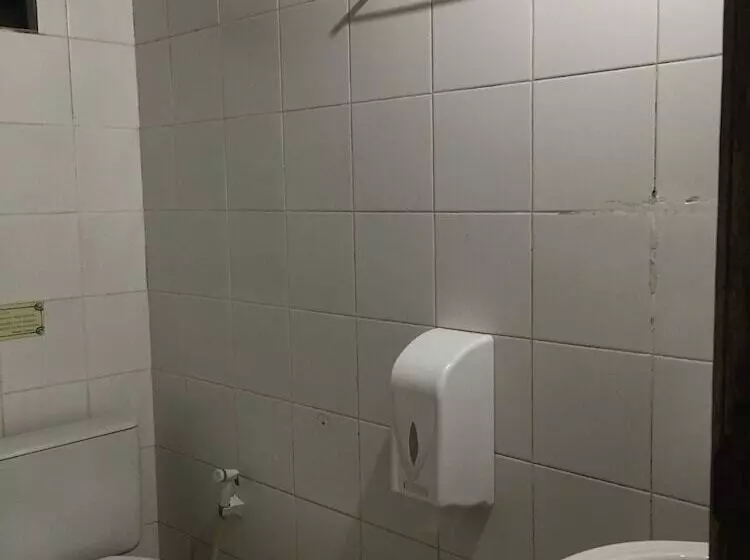 Fotos del hotel Pousada Saint Germain:  13