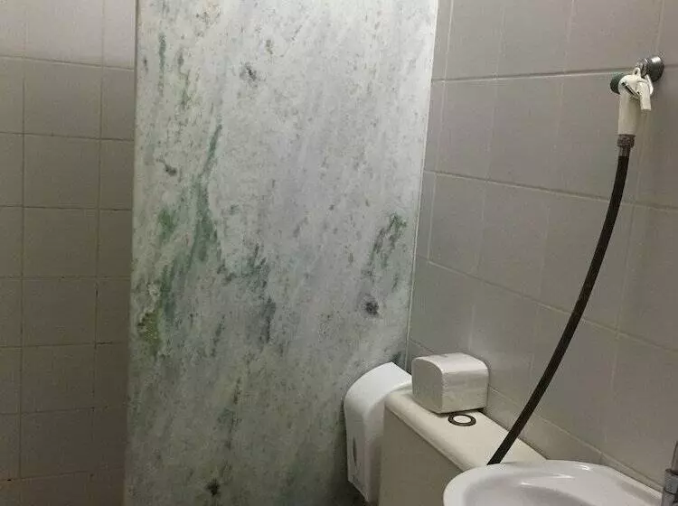 Fotos del hotel Pousada Saint Germain:  24