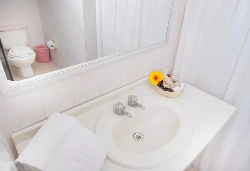 Fotos del hotel El Cid Merida:  13