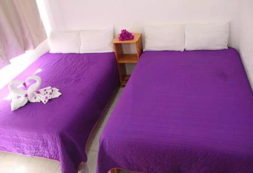 Fotos del hotel Hotel Victoria Zihuatanejo:  21