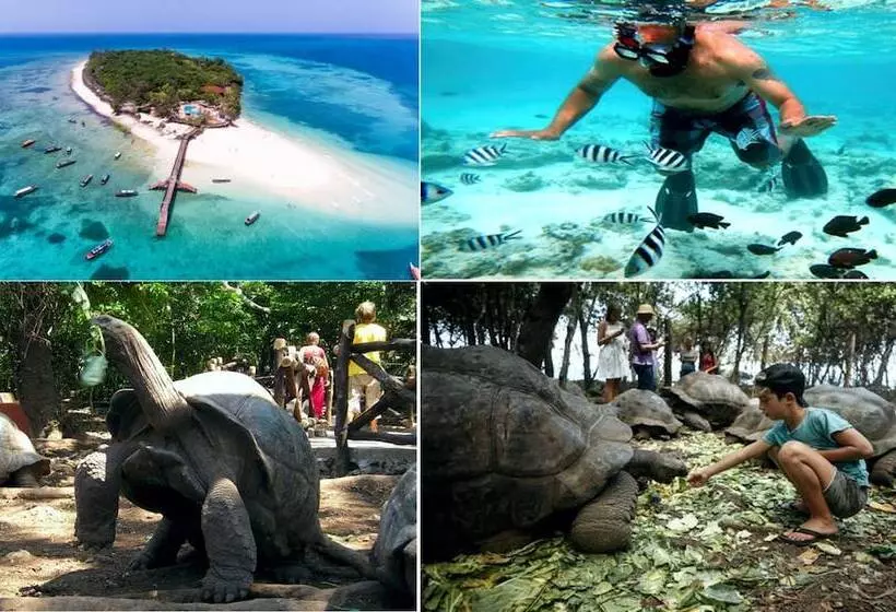 Fotos del hotel Maru Maru:  7