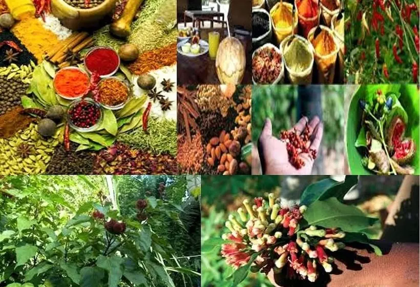 Fotos del hotel Maru Maru:  4