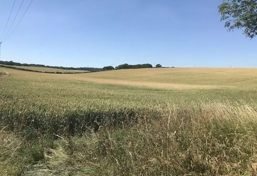 Fotos del hotel The Bell At Boxford:  7