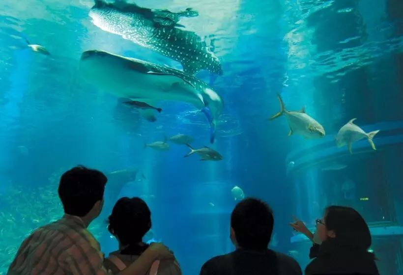 Fotos del hotel Trusty Osaka Abeno:  2