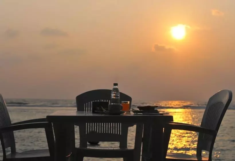 Fotos del hotel Sunny Suites Inn:  5