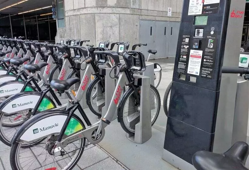 Fotos del hotel Lofts Du Vieuxport:  13