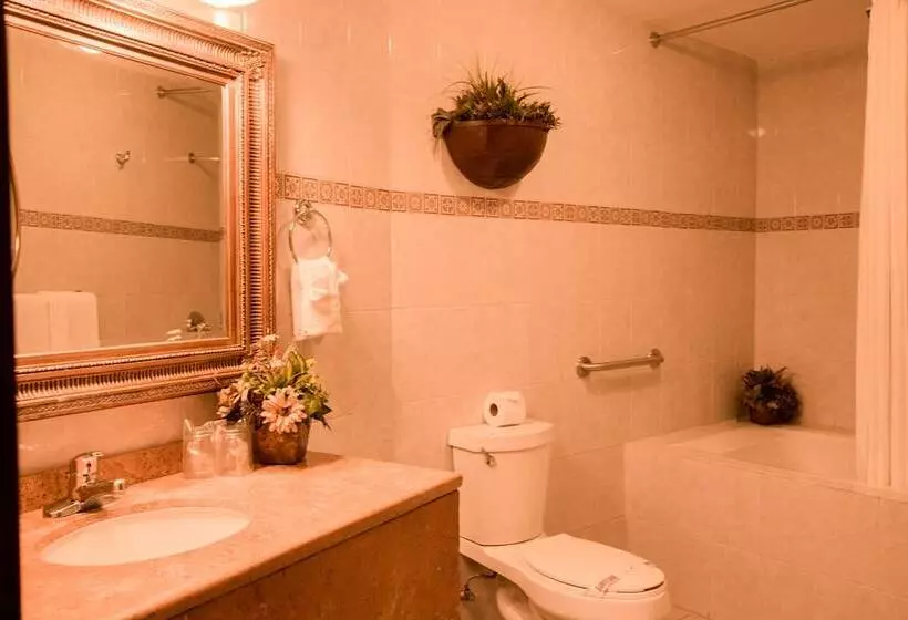 Fotos del hotel María Bonita Consulado Americano:  6