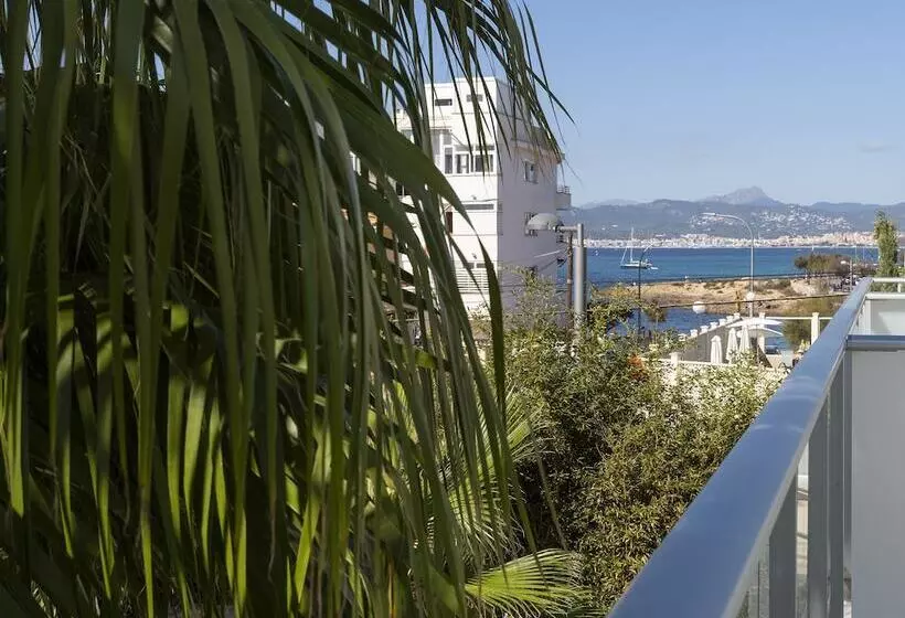 Fotos del hotel Js Palma Stay Adults Only:  9