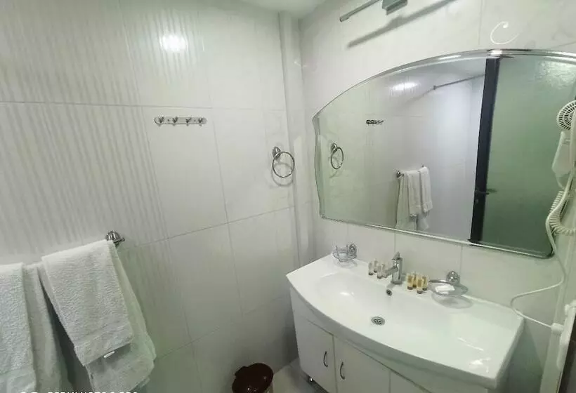 Fotos del hotel Yerevan Deluxe:  7