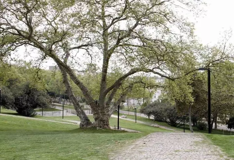 Fotos del hotel Rossio:  4