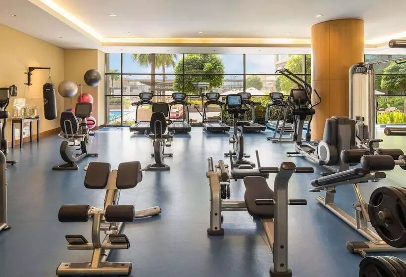 Fotos del hotel Swissotel Al Ghurair:  20