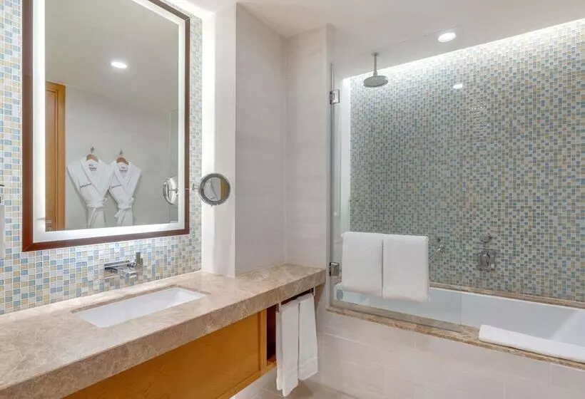 Fotos del hotel Swissotel Al Ghurair:  37