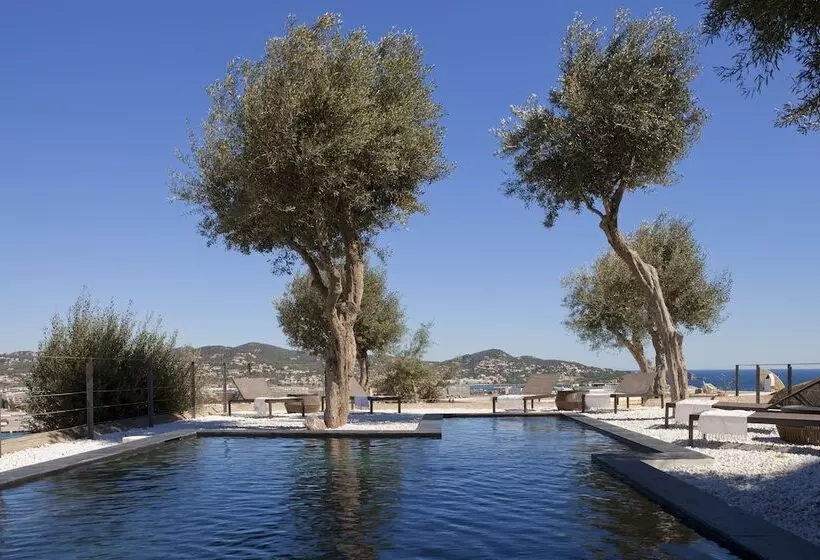 Fotos del hotel La Torre Del Canonigo  Small Luxury S:  5