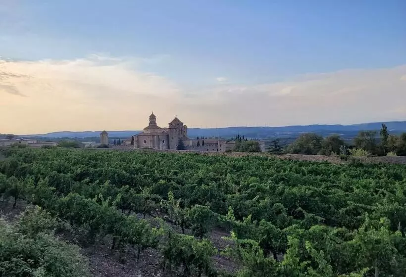 Fotos del hotel Hostatgeria De Poblet:  22