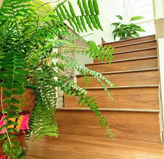 Fotos del hotel Suite Chicó:  17