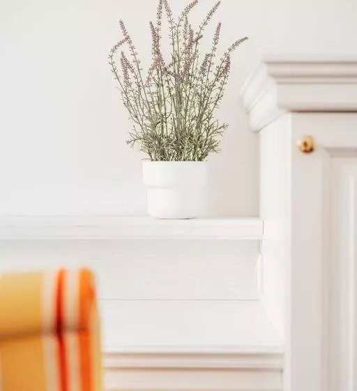 Fotos del hotel Arthotel Ana Adlon Vienna:  3