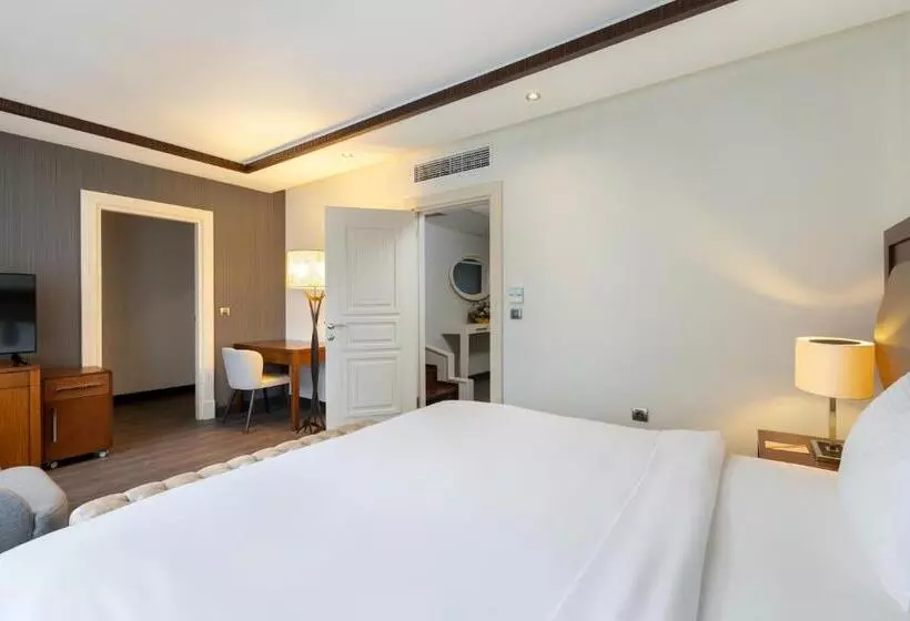 Fotos del hotel Miracle Istanbul Asia Airport  & Spa:  11