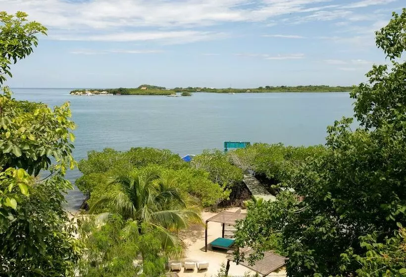 Fotos del hotel Aura  Barú:  12