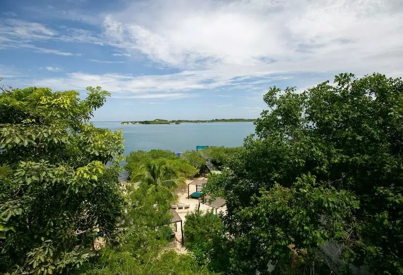 Fotos del hotel Aura  Barú:  14