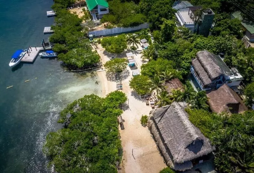 Fotos del hotel Aura  Barú:  16