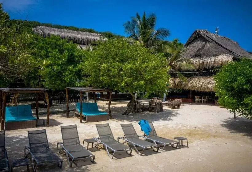 Fotos del hotel Aura  Barú:  3