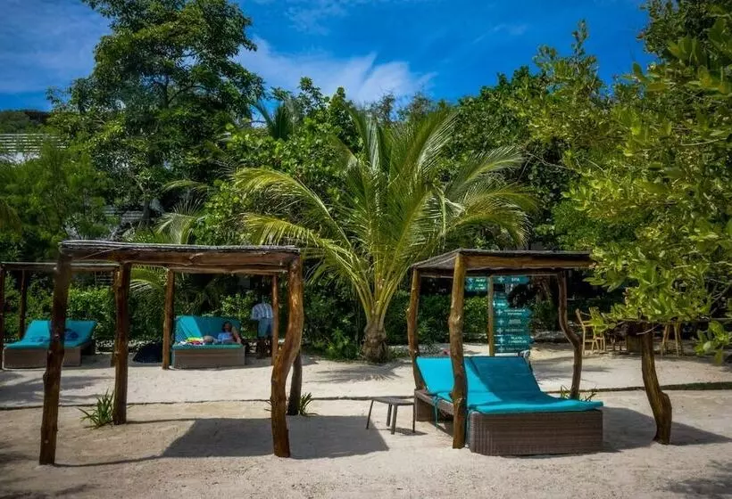 Fotos del hotel Aura  Barú:  11