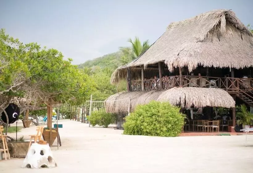 Fotos del hotel Aura  Barú:  2